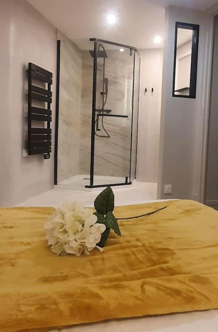 Appartement Vinicole Hypercentre, Gare & Parking Gratuit Esplanade Grenoble